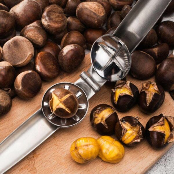 Stainless Steel Chestnut Opener